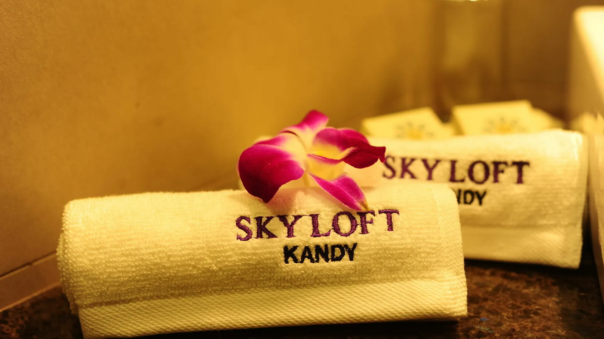 Skyloft Kandy By Aaradhya